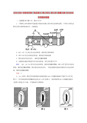 2019-2020年高考生物一輪總復(fù)習(xí) 第三單元 第三講 能量之源-光與光合作用限時(shí)檢測.doc