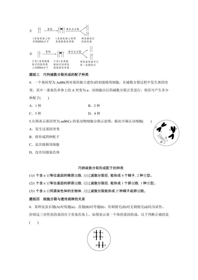 2019-2020年高考生物大二轮配套讲义：3-9“稳中求变”之细胞分裂中的遗传变异.doc_第3页