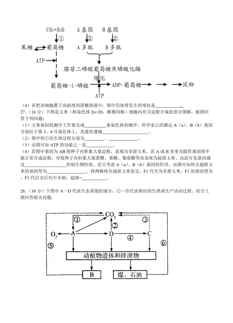 2019-2020年高三第一次调研考试（生物）.doc_第3页