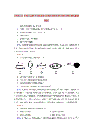 2019-2020年高中生物 3.2細(xì)胞器-系統(tǒng)內(nèi)的分工合作課時(shí)作業(yè) 新人教版必修1.doc