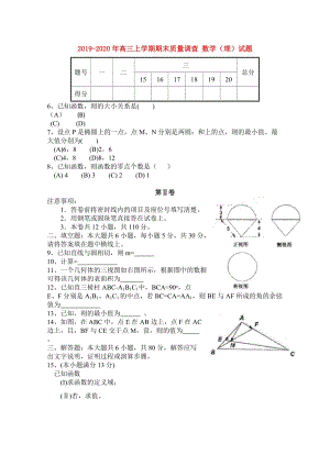 2019-2020年高三上學期期末質(zhì)量調(diào)查 數(shù)學（理）試題 .doc