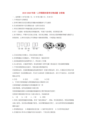 2019-2020年高一上學(xué)期期末聯(lián)考生物試題 含答案.doc