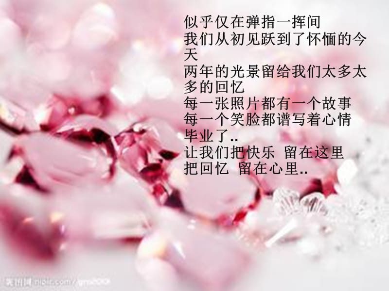 毕业主题班会PPT课件.ppt_第2页