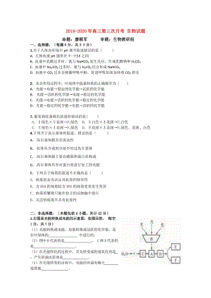 2019-2020年高三第三次月考 生物試題.doc