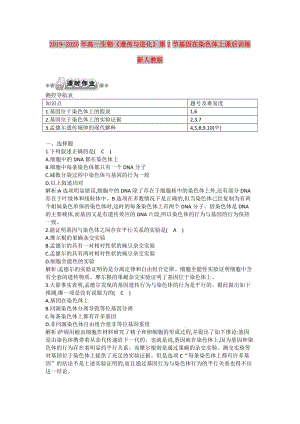 2019-2020年高一生物《遺傳與進化》第2節(jié)基因在染色體上課后訓(xùn)練 新人教版.doc