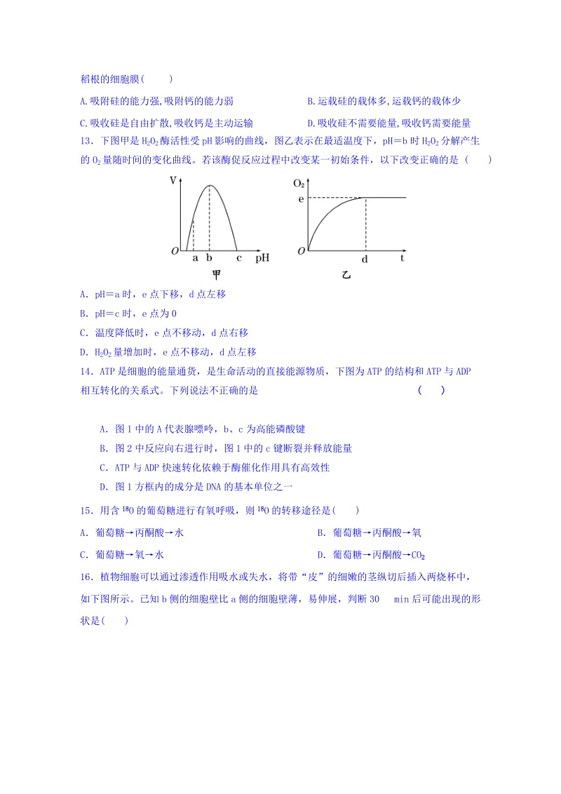 2019-2020年高一上学期12月月考生物试题 Word版含答案.doc_第3页