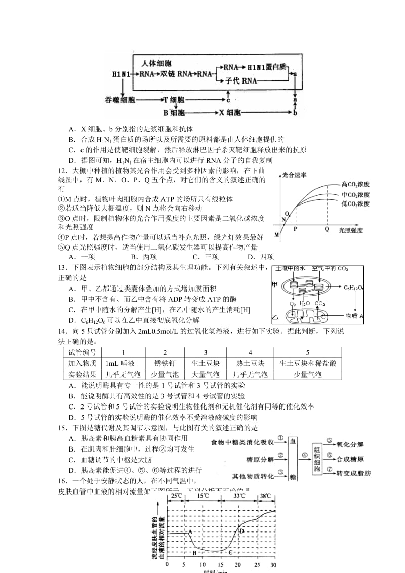 2019-2020年高三上学期质检一模拟生物试题 含答案.doc_第2页