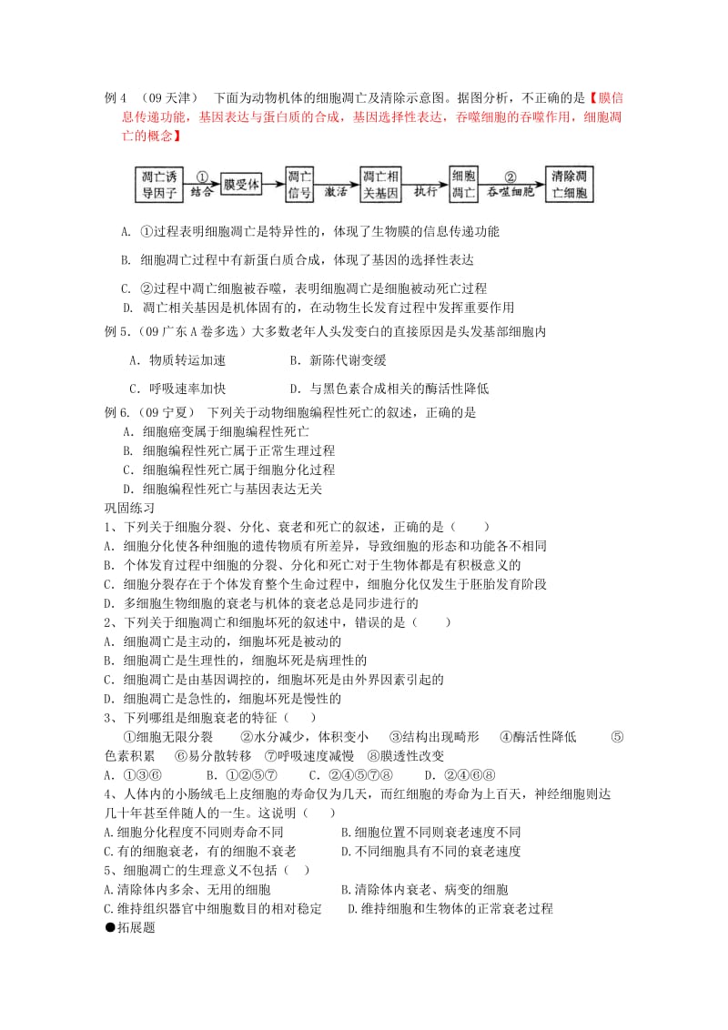 2019-2020年高考生物一轮 第6章第3节 细胞的衰老和凋亡 必修1.doc_第2页