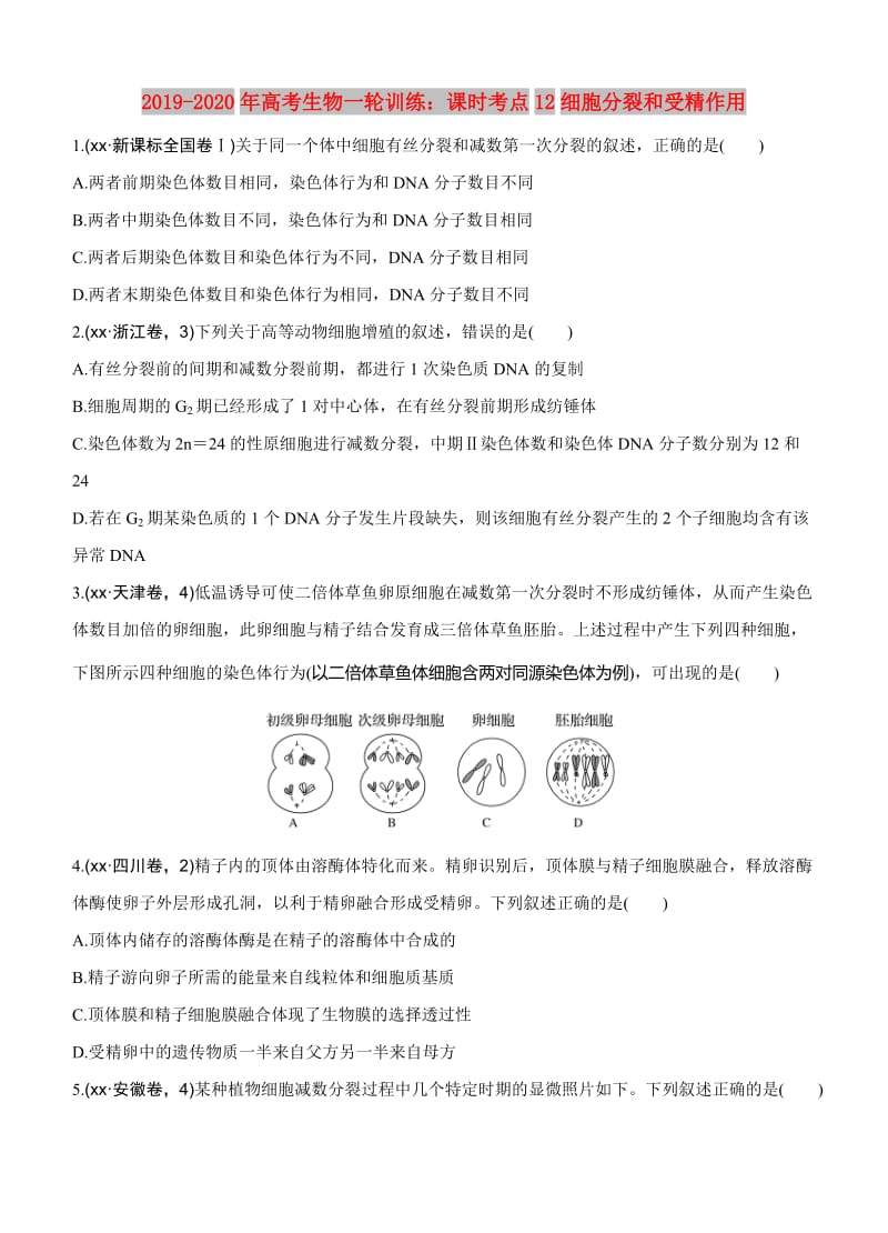 2019-2020年高考生物一轮训练：课时考点12细胞分裂和受精作用.doc_第1页