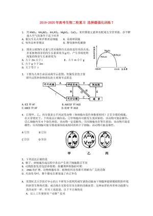 2019-2020年高考生物二輪復(fù)習(xí) 選擇題強(qiáng)化訓(xùn)練7.doc