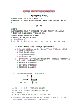 2019-2020年高三第二次聯(lián)考 理科綜合試題.doc