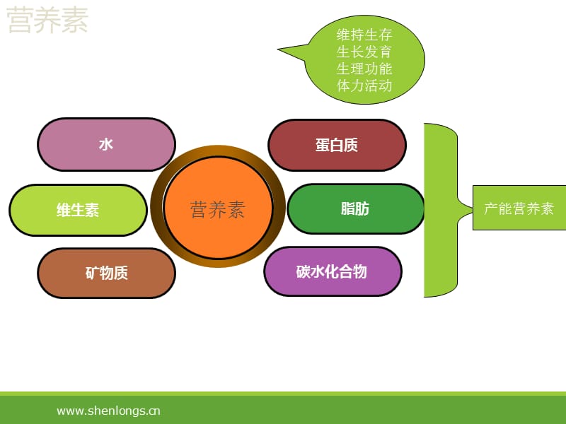 肿瘤患者营养宣教ppt课件.ppt_第3页