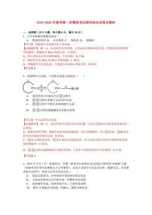 2019-2020年高考第一次模拟考试理科综合试卷含解析.doc