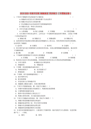 2019-2020年高中生物 細(xì)胞衰老 同步練習(xí)1 中圖版必修2.doc