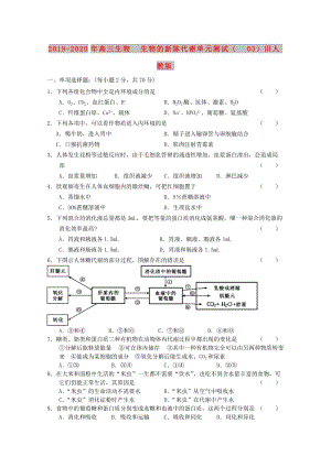 2019-2020年高三生物 生物的新陳代謝單元測試（03）舊人教版.doc