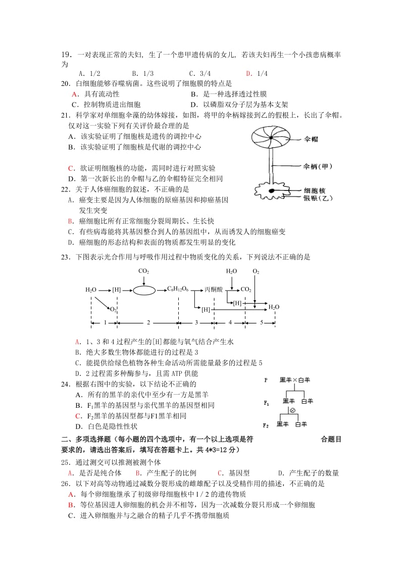 2019-2020年高三第二次段考试卷（生物）.doc_第3页