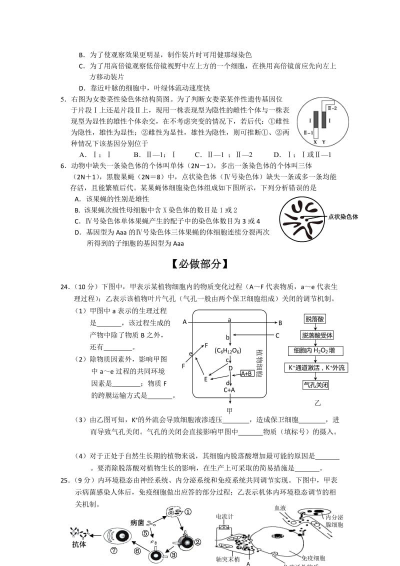 2019-2020年高三5月模拟考试生物试题 含答案.doc_第2页