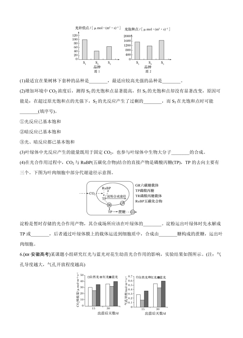 2019-2020年高考生物一轮训练：课时考点9影响光合作用的因素及其应用.doc_第3页