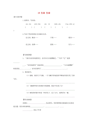 2019-2020四年級語文下冊 第5單元 19.生命 生命每課一練新人教版.doc