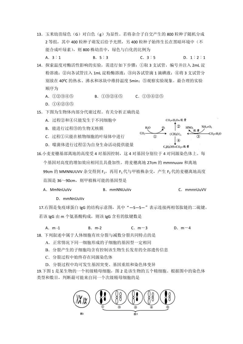 2019-2020年高三上学期第二次月考生物试题（理科补习班）.doc_第3页