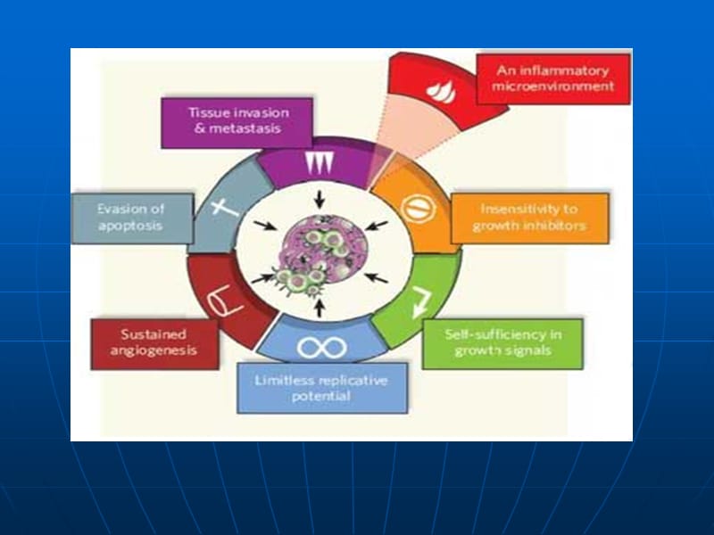 肿瘤的生物学特性ppt课件.ppt_第3页