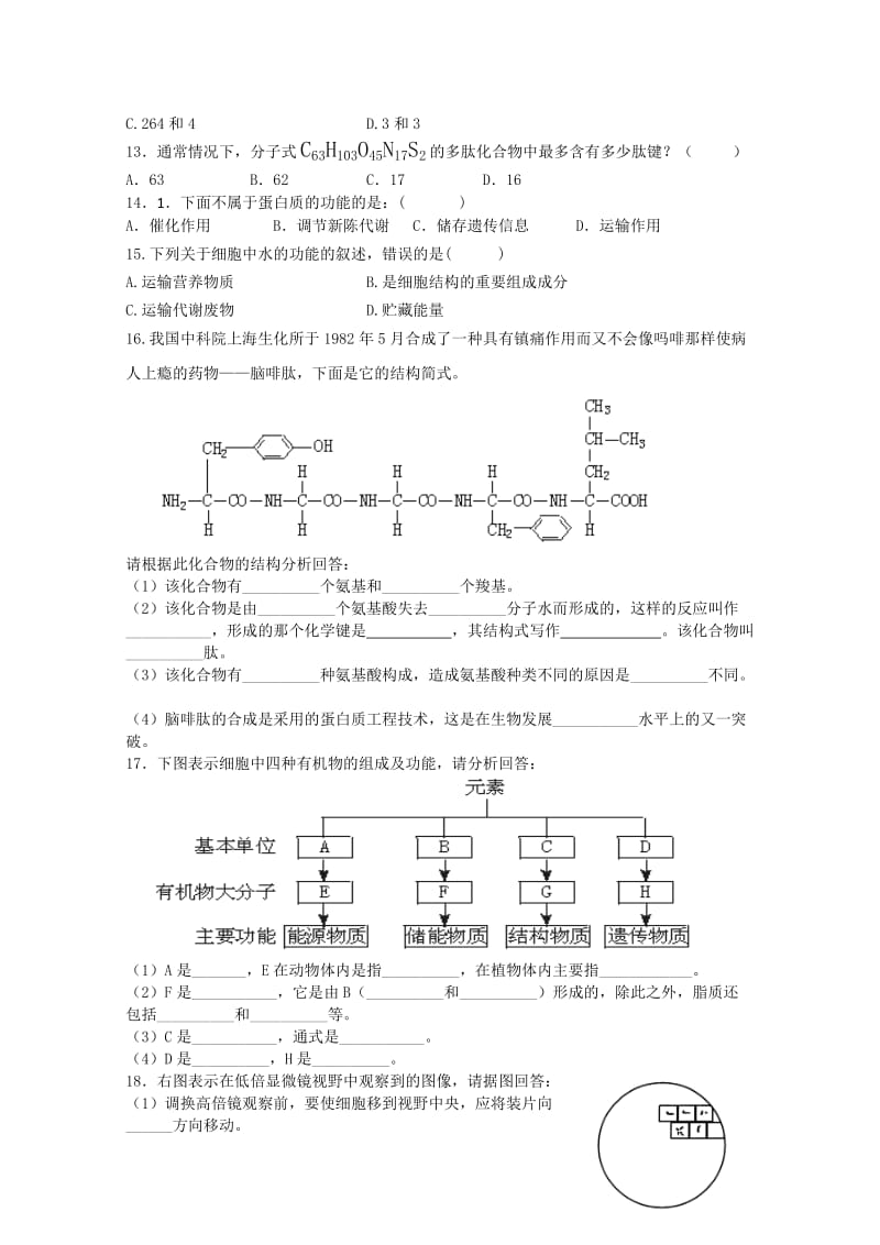 2019-2020年高考生物二轮复习 综合练习2 新人教版必修1.doc_第2页