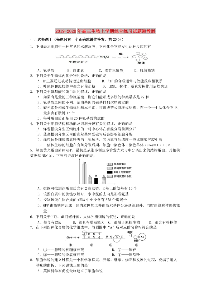 2019-2020年高三生物上学期综合练习试题湘教版.doc_第1页