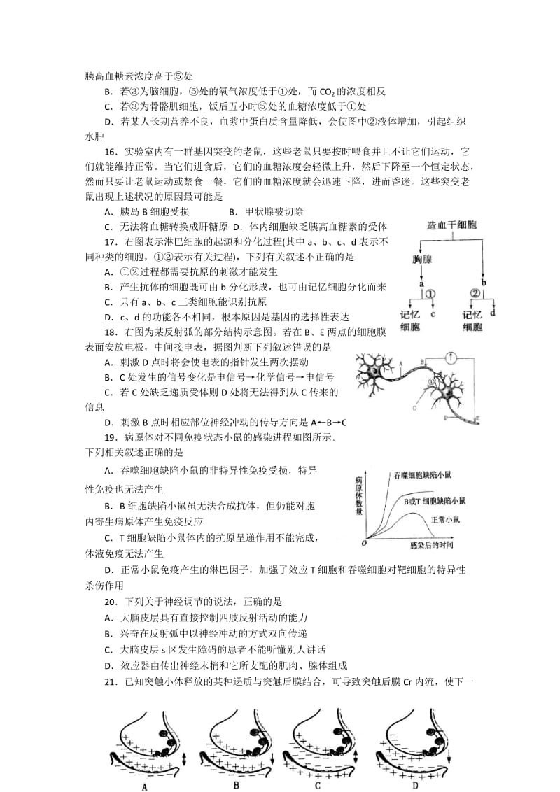 2019-2020年高三上学期期末检测生物试题.doc_第3页