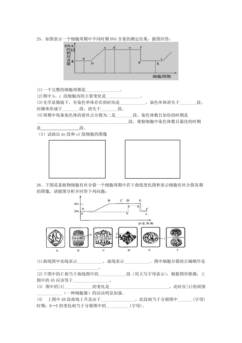 2019-2020年高中生物 第五章 细胞增殖、分化、衰老和凋亡单元综合测试苏教版必修1.doc_第3页