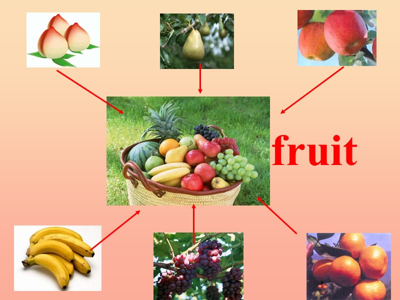 2019春三年级英语下册 Module 4 Unit 1《We’ll pick fruit》课件2 （新版）外研版.ppt_第3页