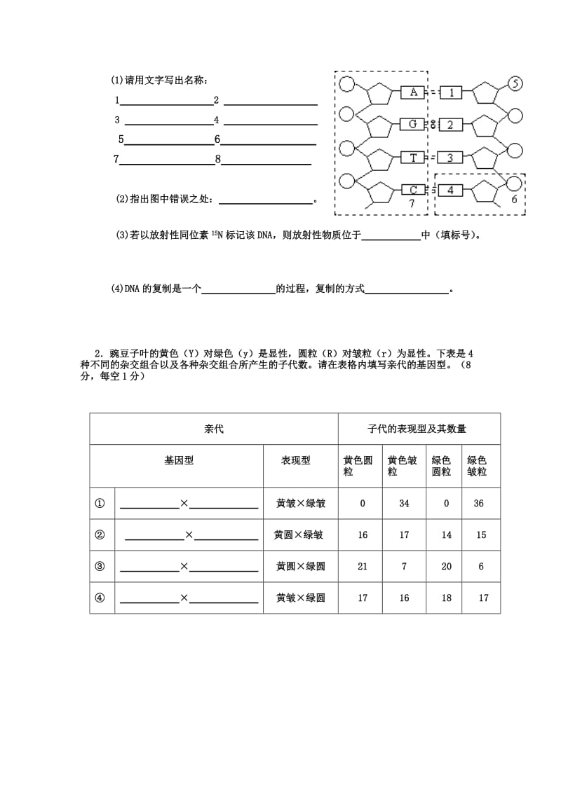 2019-2020年高一下学期期中考试（生物文）.doc_第3页