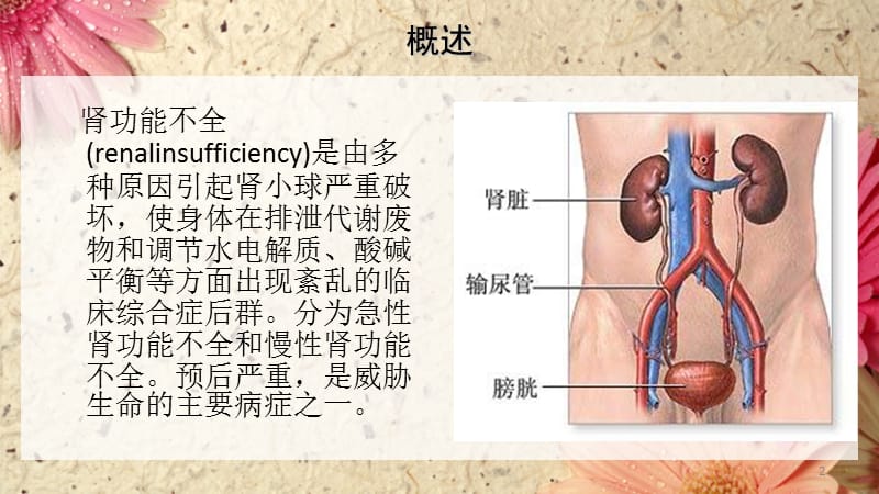 肾功能不全的分期及临床症状ppt课件_第2页