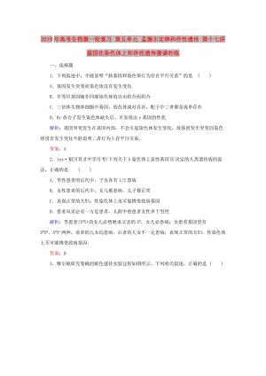 2019年高考生物微一輪復(fù)習(xí) 第五單元 孟德?tīng)柖珊桶樾赃z傳 第十七講 基因在染色體上和伴性遺傳微課時(shí)練.doc