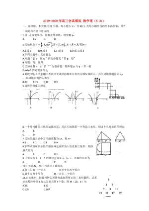 2019-2020年高三仿真模擬 數(shù)學理（5.31）.doc