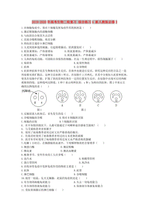 2019-2020年高考生物二輪復(fù)習(xí) 綜合練習(xí)4 新人教版必修3.doc