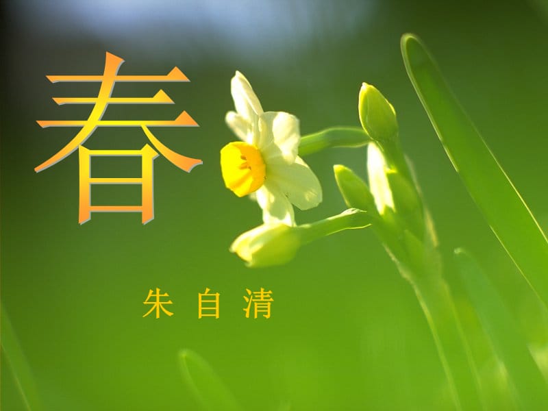 2019年六年级语文上册 第13课 春课件2 鲁教版.ppt_第1页