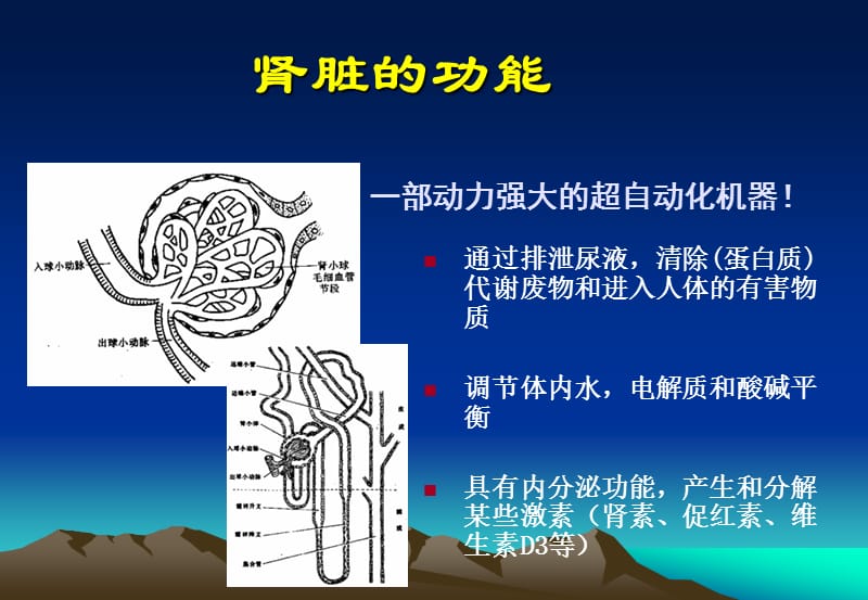 慢性肾脏疾病的护理课件.ppt_第3页