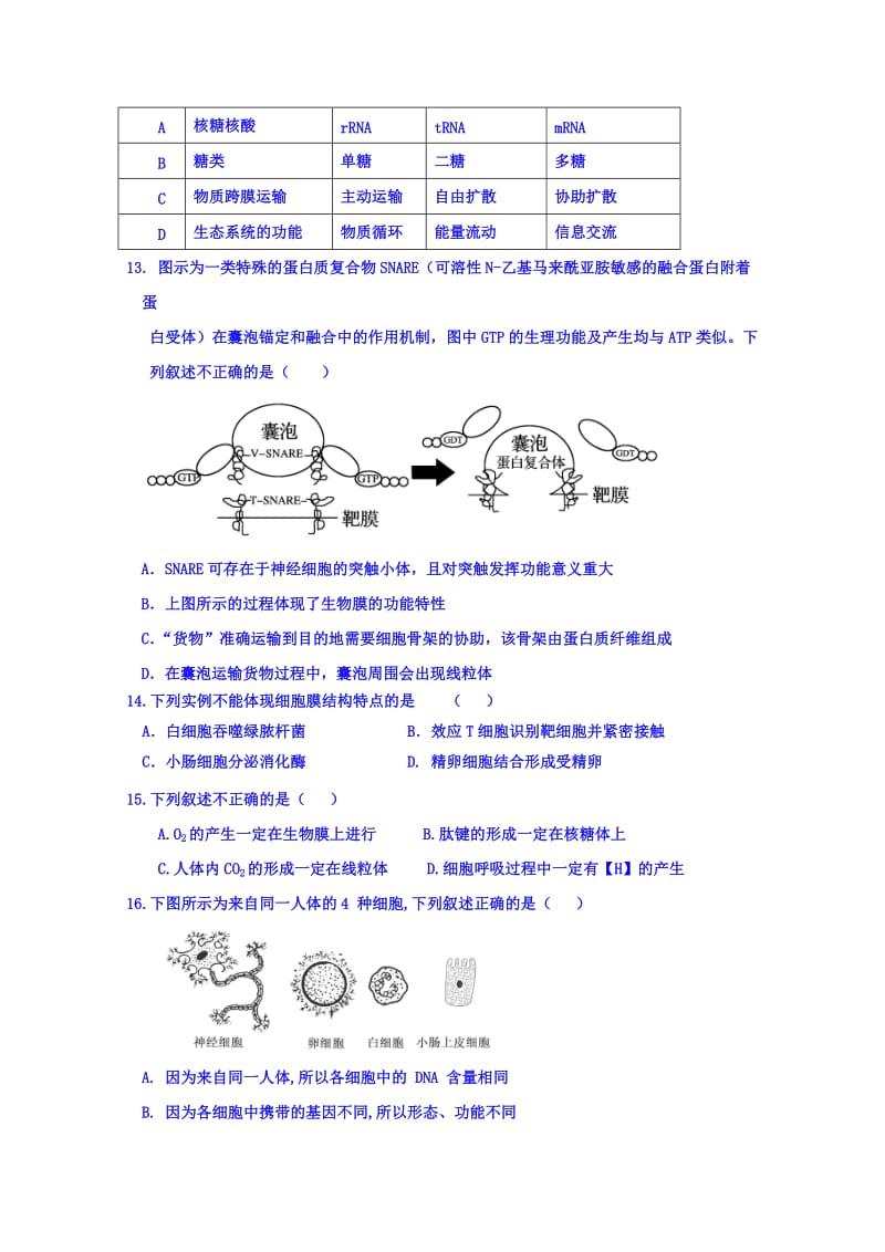 2019-2020年高三上学期小二调考试生物试题. 含答案.doc_第3页