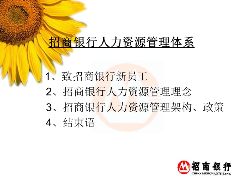 招商银行人力资源管理体系.ppt_第2页