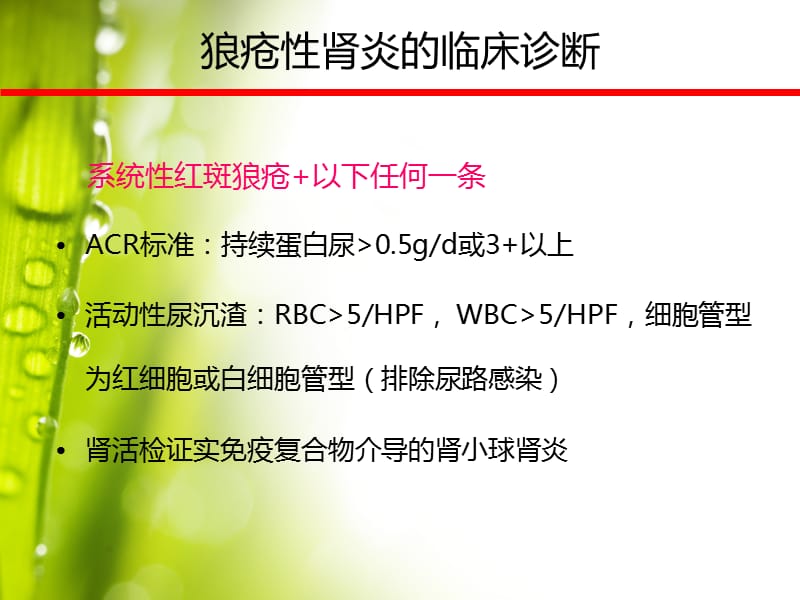 狼疮性肾炎的临床诊治课件.ppt_第3页