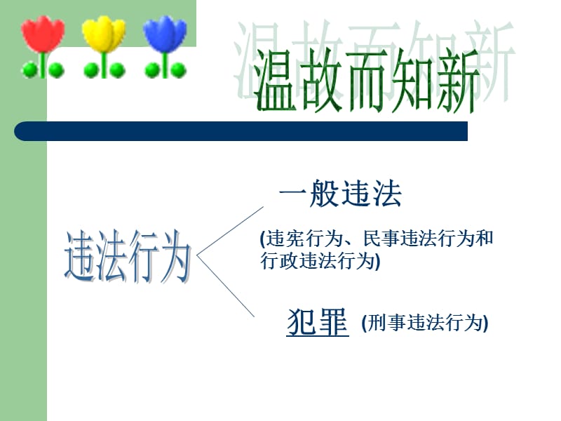 法律“雷池”不可越法律常识[主题班会].ppt_第2页