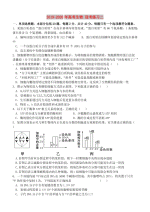 2019-2020年高考生物 迎考練習(xí)二.doc