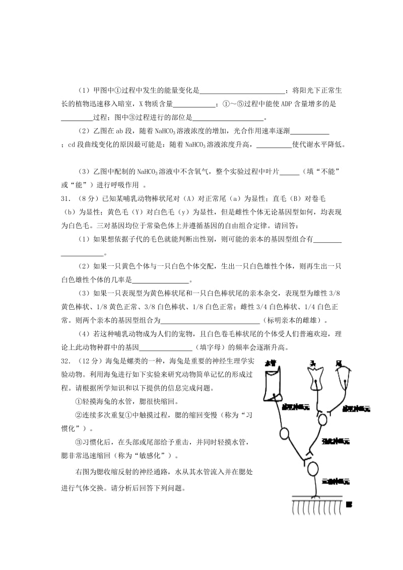 2019-2020年高中生物 生物限时训练19 新人教版.doc_第3页