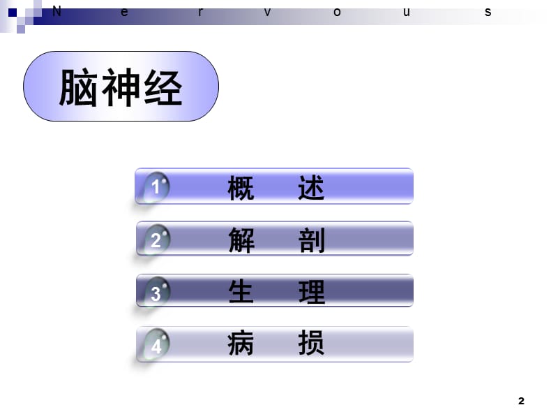 十二对颅神经ppt课件_第2页