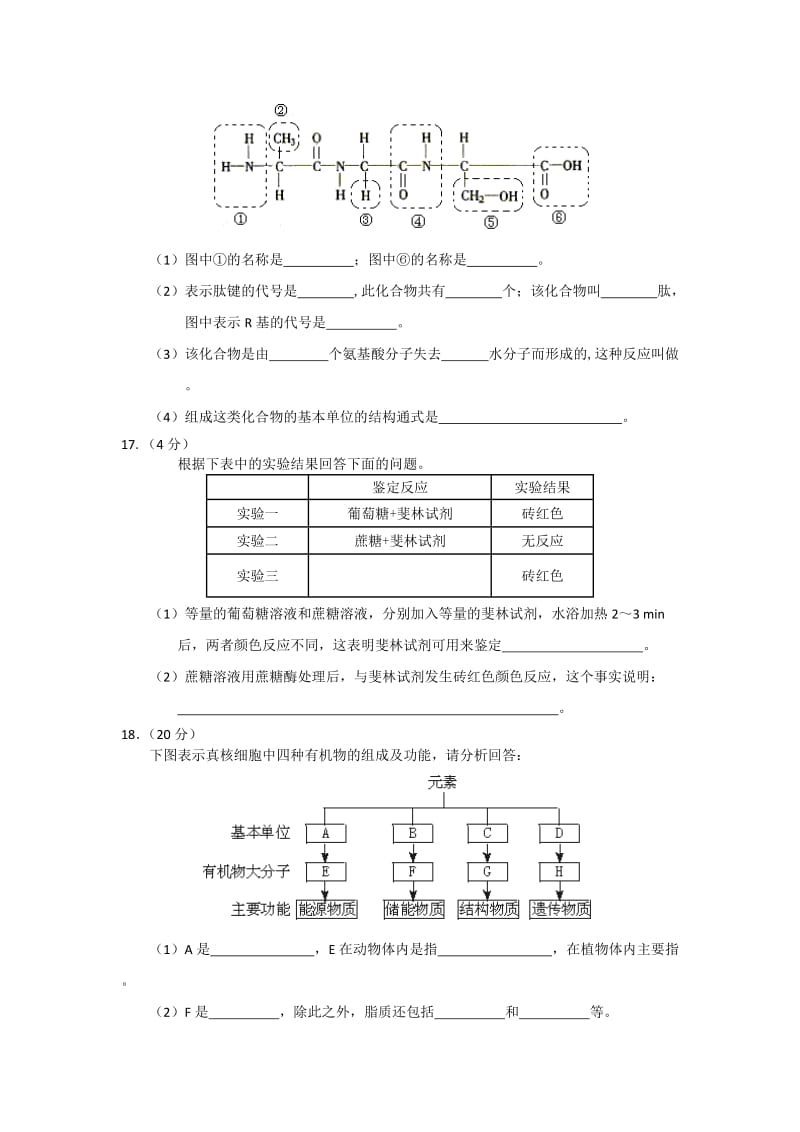 2019-2020年高一上学期阶段性测试（1）生物试题.doc_第3页