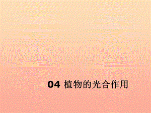 2019六年級科學上冊 第一章 第3課 植物的光合作用課件2 新人教版.ppt