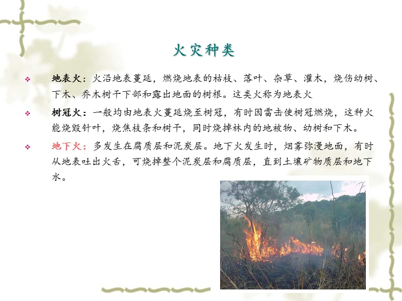 自然保护区火的管理.ppt_第3页