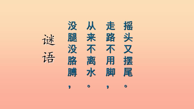 2019一年级科学下册 动物 2.5《观察鱼》课件 教科版.ppt_第2页