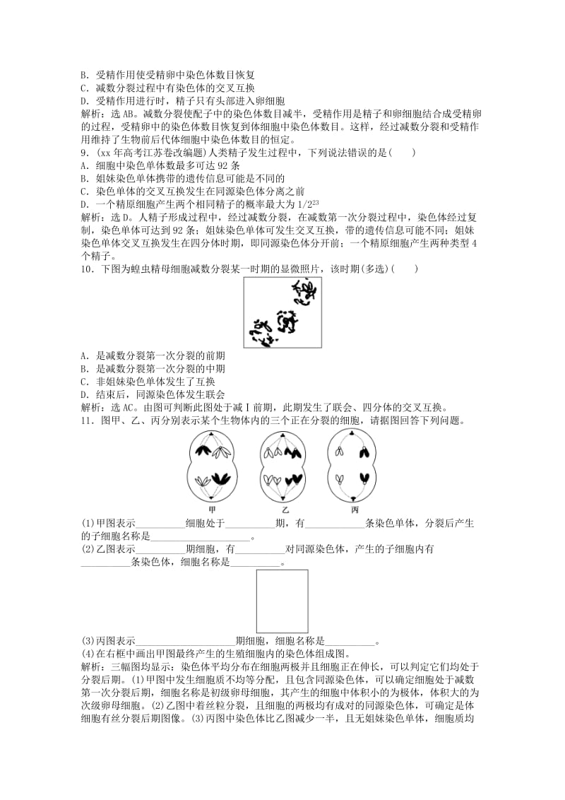 2019-2020年高中生物知识点专练（38）新人教版必修2.doc_第3页