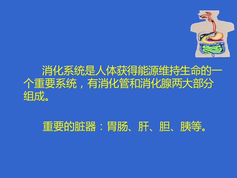 消化系统疾病护理.ppt_第2页